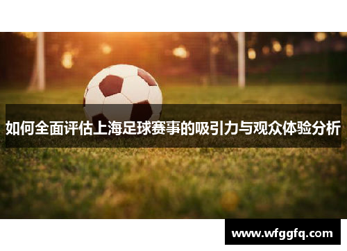 如何全面评估上海足球赛事的吸引力与观众体验分析