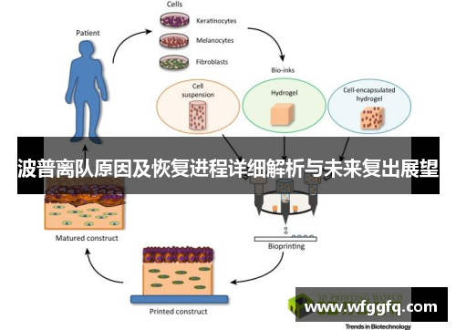 波普离队原因及恢复进程详细解析与未来复出展望