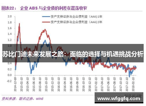 苏比门迪未来发展之路:面临的选择与机遇挑战分析 苏比门迪未来发展之路:面临的选择与机遇挑战分析