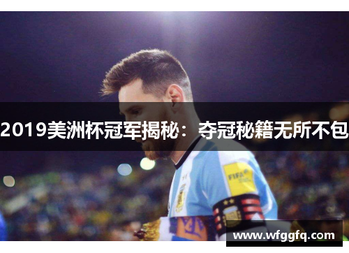 2019美洲杯冠军揭秘：夺冠秘籍无所不包