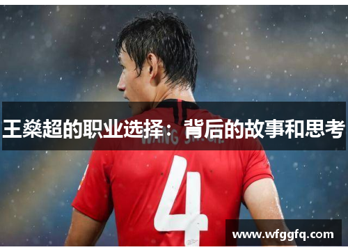 王燊超的职业选择：背后的故事和思考